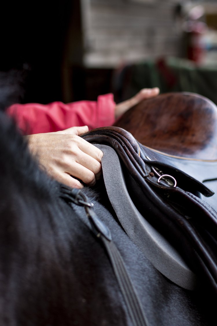Hoof-it-product-SaddlePad-5